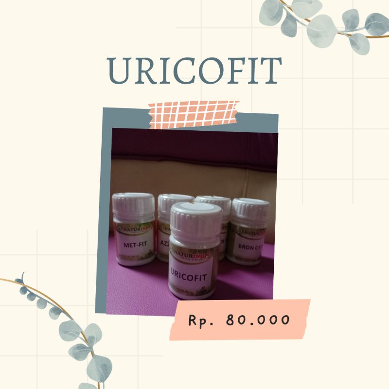 Herbal Naturindo Uricofit