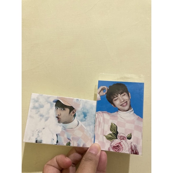 BTS RM Namjoon wings pc