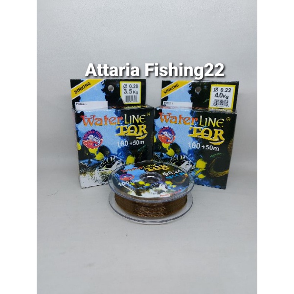 Senar / Tali Pancing Water Line Tor Golden Fish