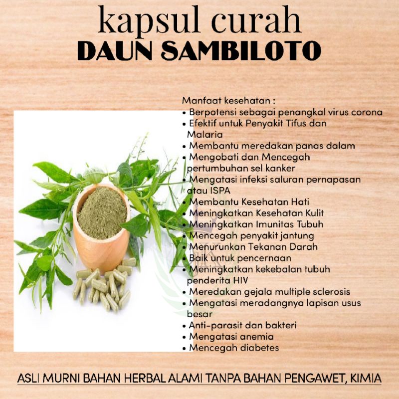 sambiloto isi 100kapsul
