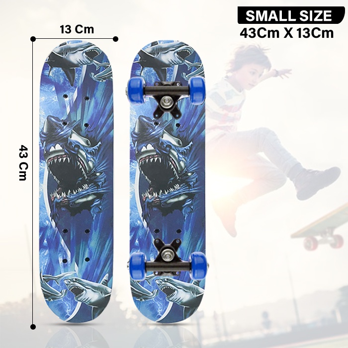 Skateboard Anak Kecil Karakter Gambar / Skatebord murah