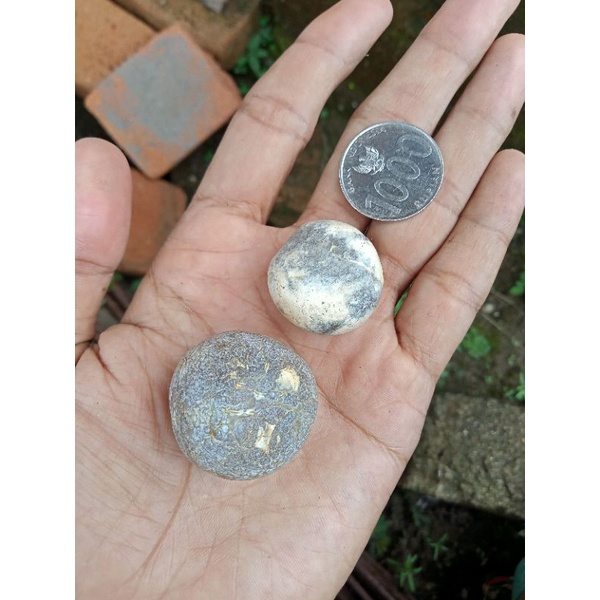 2 pcs Batu Cimpago Biru Ujung Tanjung ( Rough / Bahan Batu Akik Natural - bukan bacan obi kecubung g