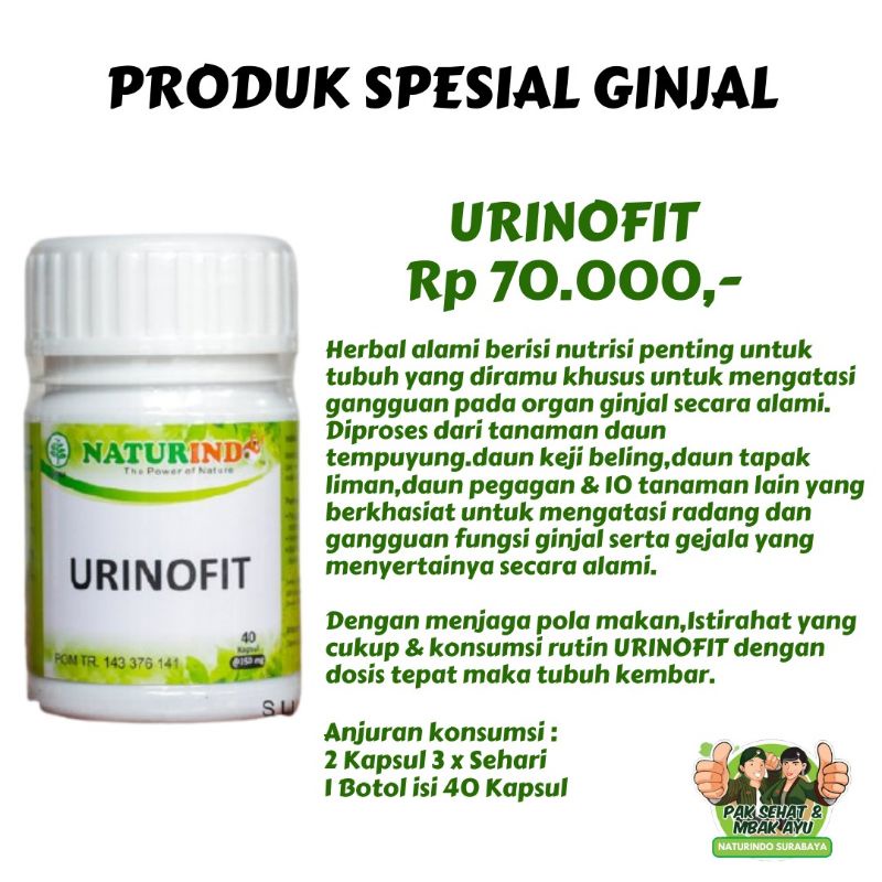 obat ginjal alami urinofit