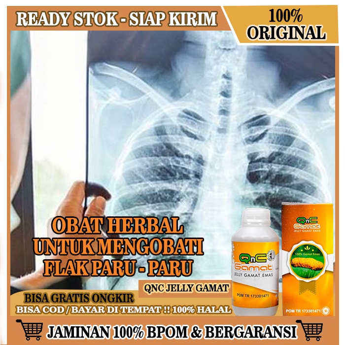 Obat Flek Paru, Obat Flek Paru-Paru Alami, Obat Flek Paru Paru Herbal Alami Untuk Anak dan Dewasa, Obat Infeksi Paru, Obat Pembersih Paru Paru Dari Flek Kotor, Obat Alami Flek Paru-Paru