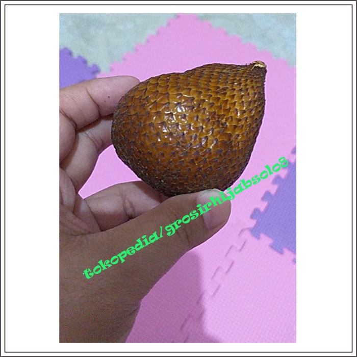 

salak kecil harga per pcs