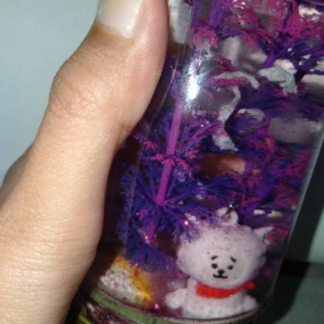 

Snow globe karakter BT21 HOMEMADE