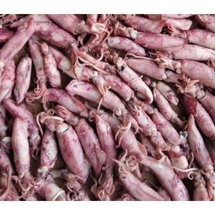 

Cumi Asin 500 gr