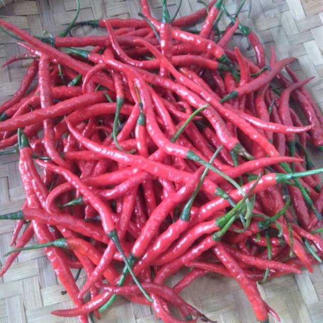

Cabe Merah Keriting 250gr