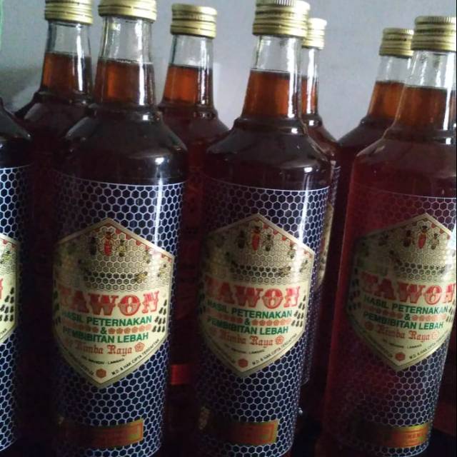 

Tawon madu asli