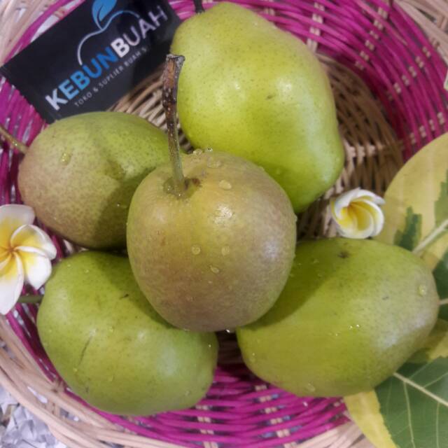

PEAR XIANG LIE FRESH
