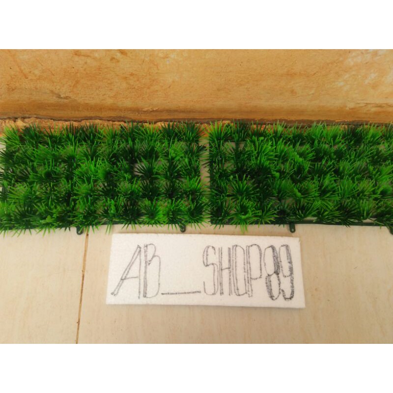 tanaman hias pake plant aquarium tanaman hias soliter cupang