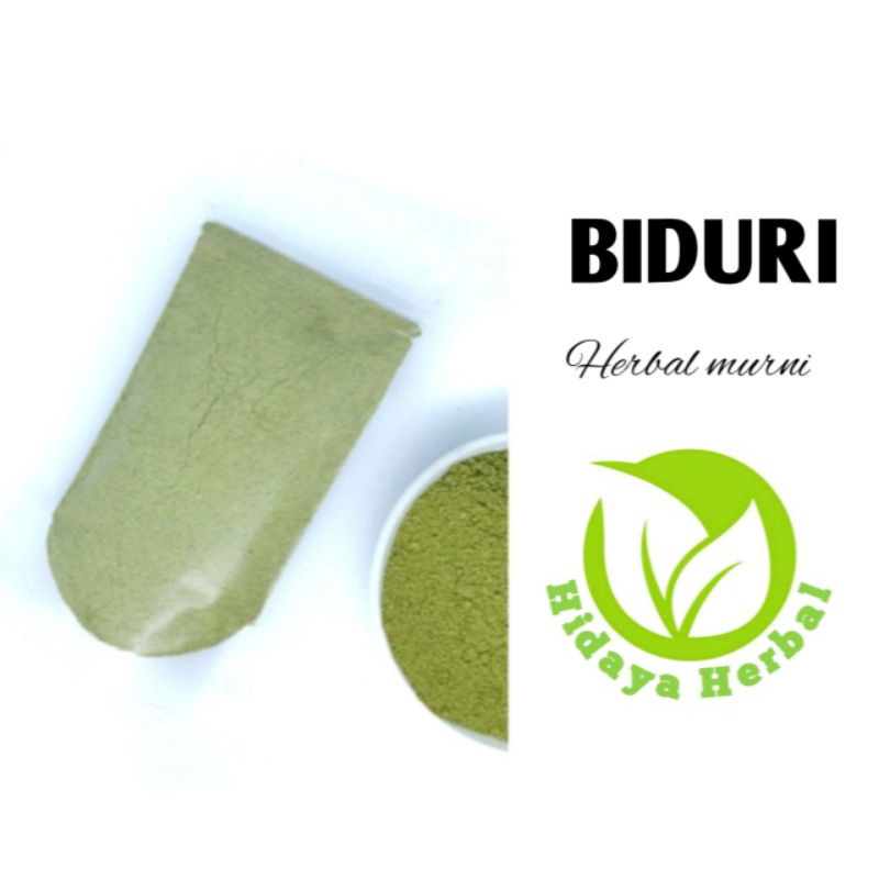 

Bubuk Daun Biduri 100gr