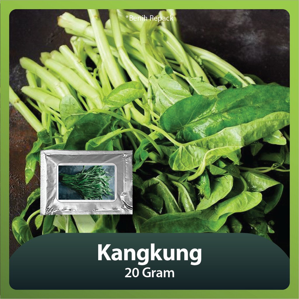 Benih Bibit Kangkung - 20 gram