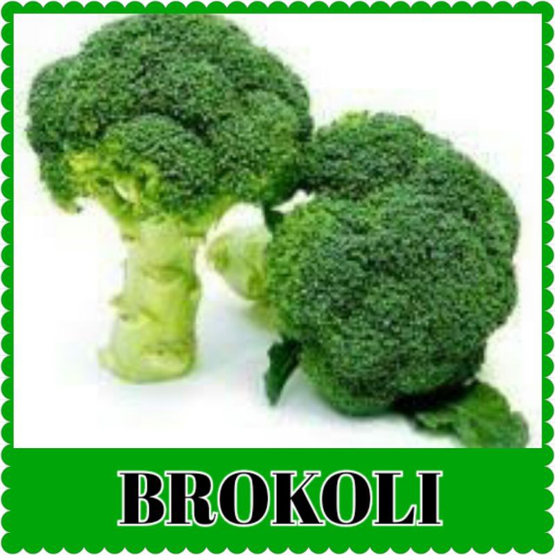 benih sayur brokoli/bibit sayur brokoli