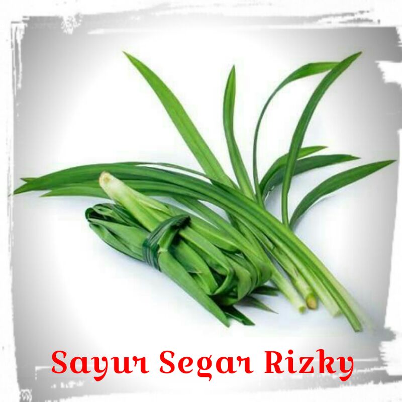 

Daun Pandan