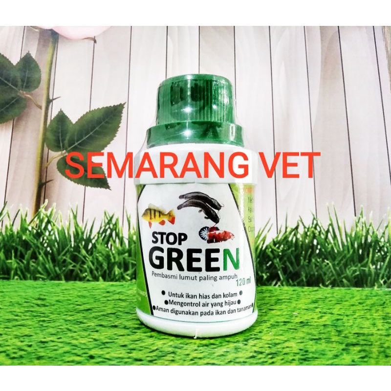 Anti Lumut Kolam Ikan Pembersih Lumut Kolam Ikan Penghilang Lumut Kolam Ikan Pembunuh Lumut STOP GRE