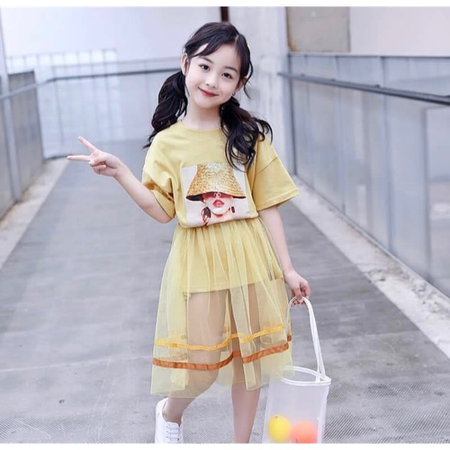 desy1312