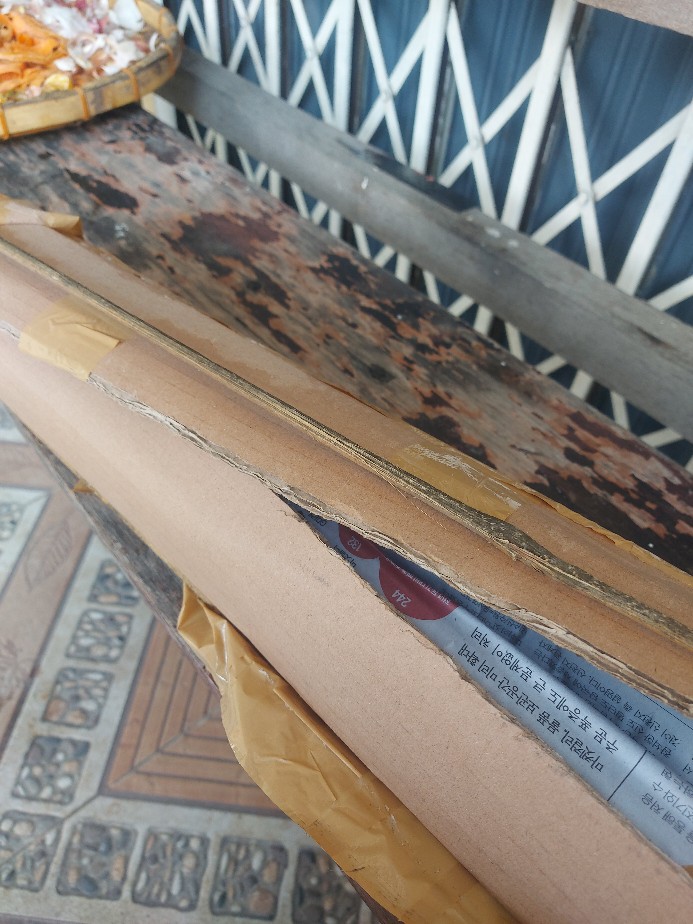 Paket Bibit Jambu Madu Deli Dan Citra Merah