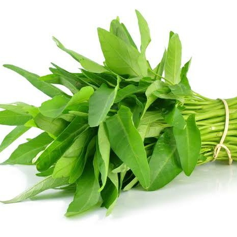 

kangkung
