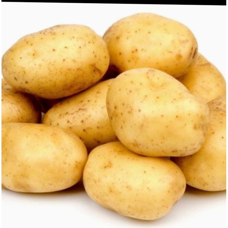 

kentang kuning 500 gr segar