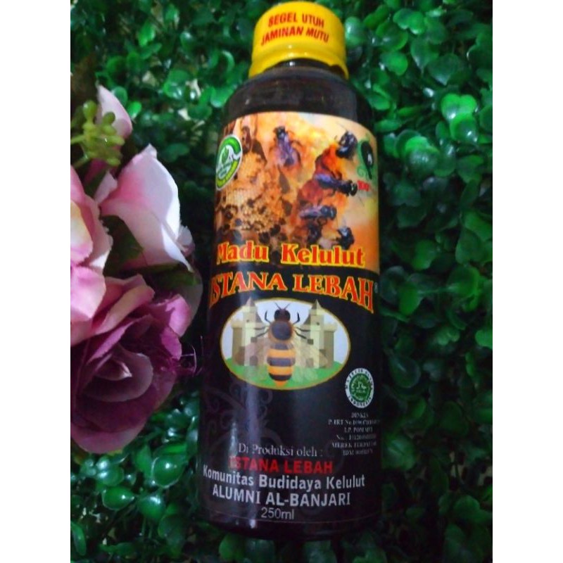 

Madu Trigona Kelulut Klenceng Asli 250 ml 100% Balikpapan Kalimantan tanpa proses tanpa campuran