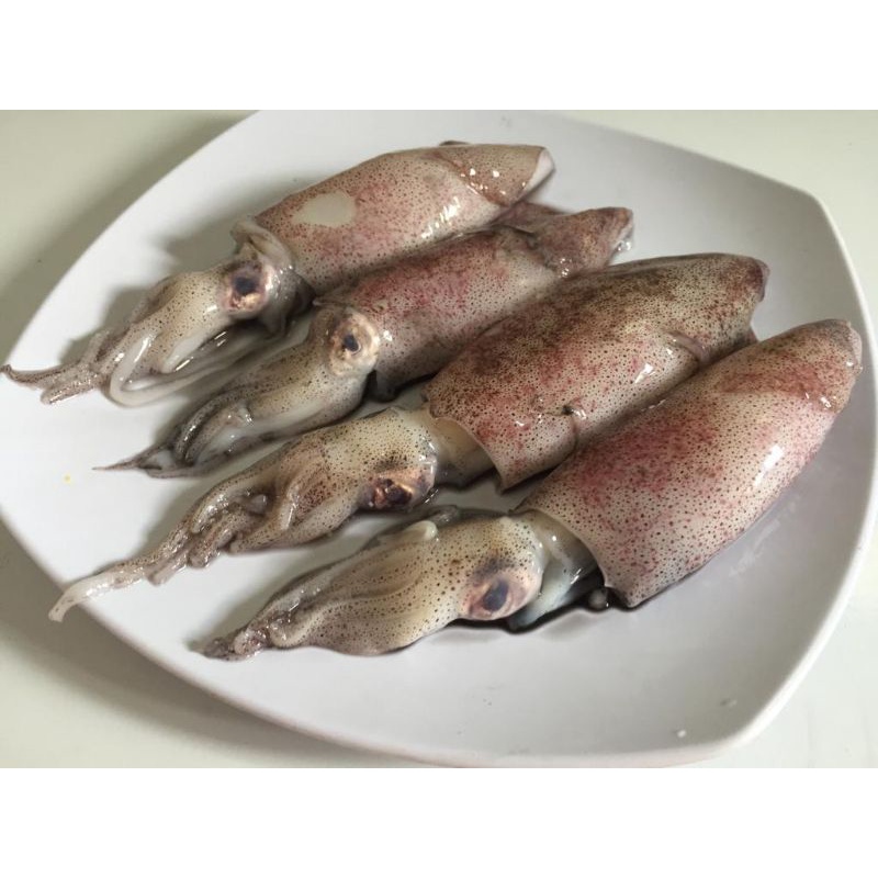 

CUMI SIZE SEDANG RANDOM 500GRAM CUMI SEGAR HARIAN CUMI HITAM