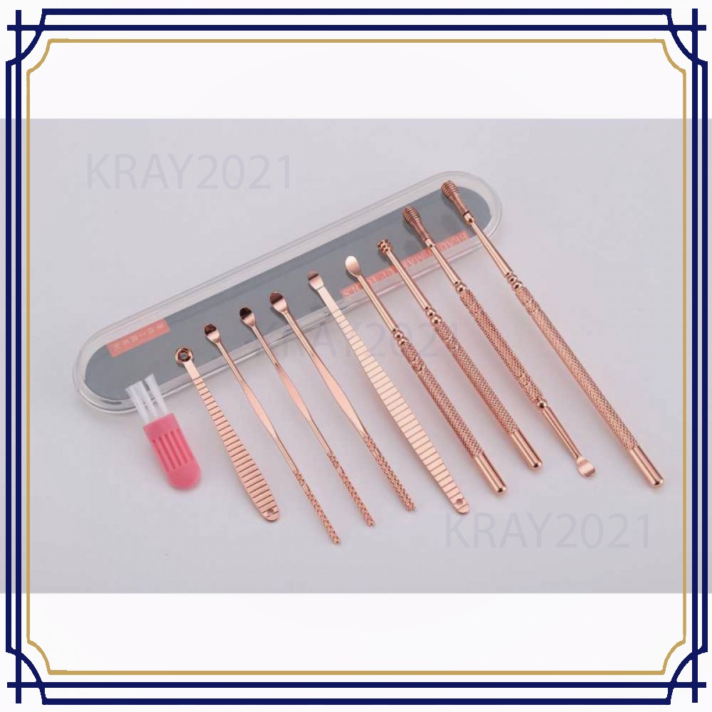 Set Pembersih Telinga Korek Kuping Ear Spoon Tool 10 PCS - HL440