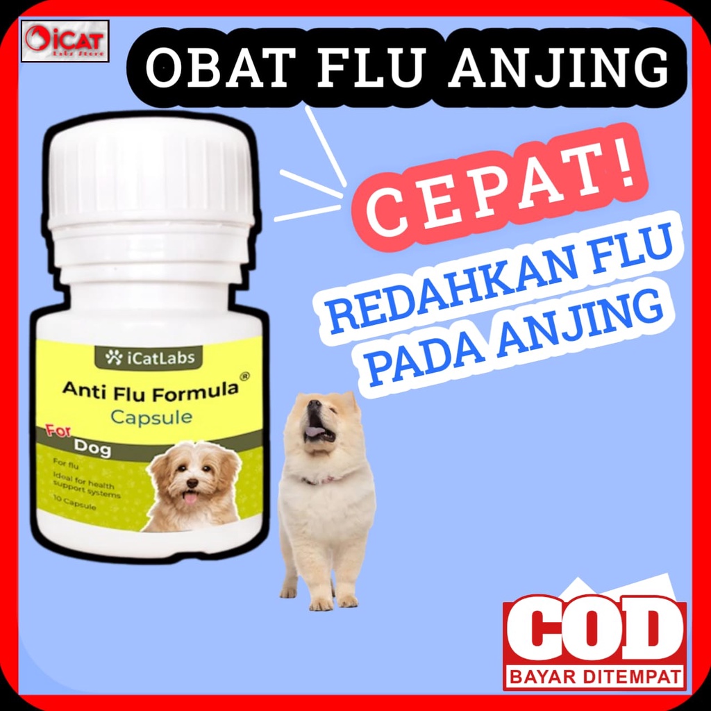 ANTI FLU FORMULA FOR DOG OBAT FLU ANJING OBAT PILEK ANJING VITAMIN ANJING MAKANAN ANJING