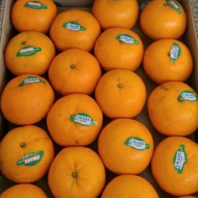 Buah Jeruk Mandarin Segar