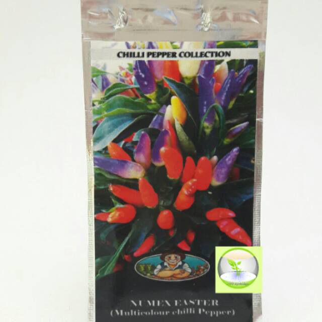 Benih cabe hias / cabe unik