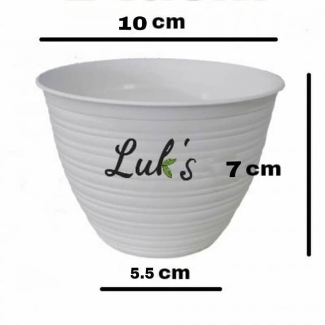  Pot tawon 10 cm  Putih Shopee Indonesia