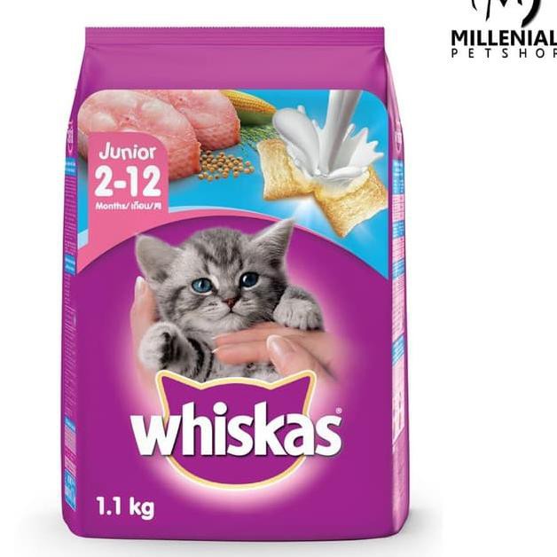 Up Makanan Kucing Whiskas Junior 1 1 Kg 1 1kg Cat Food Anak Kucing Simbol2 Shopee Indonesia