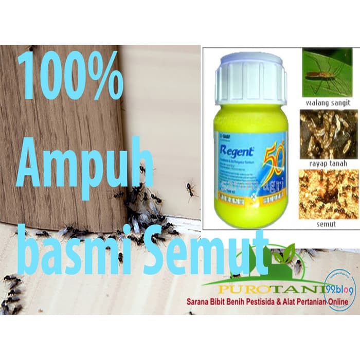 Regent Insektisida  50 SC 100ml Racun Semut