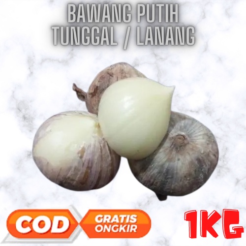 Bawang Putih Tunggal Lanang 1 Kg | Cocok untuk Madu