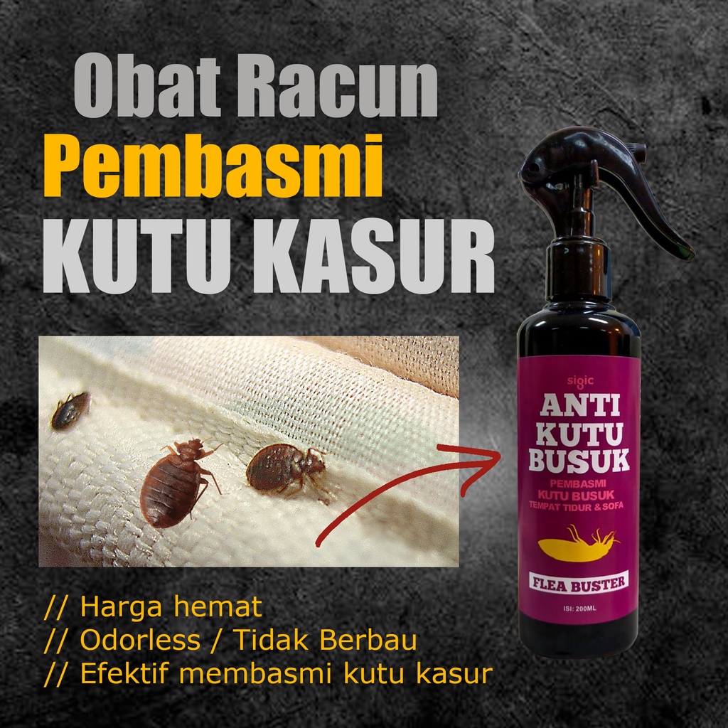 Racun Pembasmi Kutu Busuk Kutu Kasur Ampuh