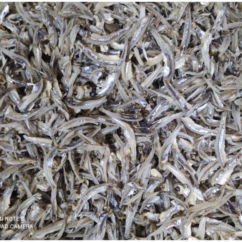 

Teri Kacang Jenggki 1000gram