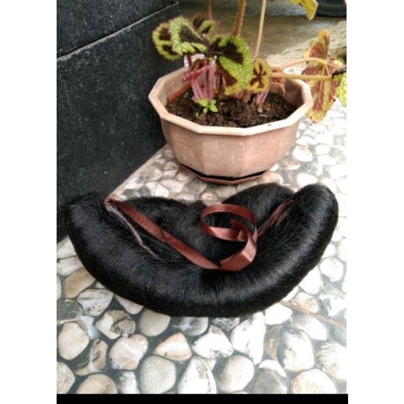 SUBAL SASAK JAWA||SUBAL PENGANTIN