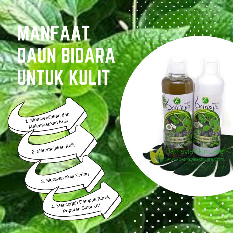 Sabun TTT Top to Toe Wash Bidara Batrisyia Herbal 250 ml