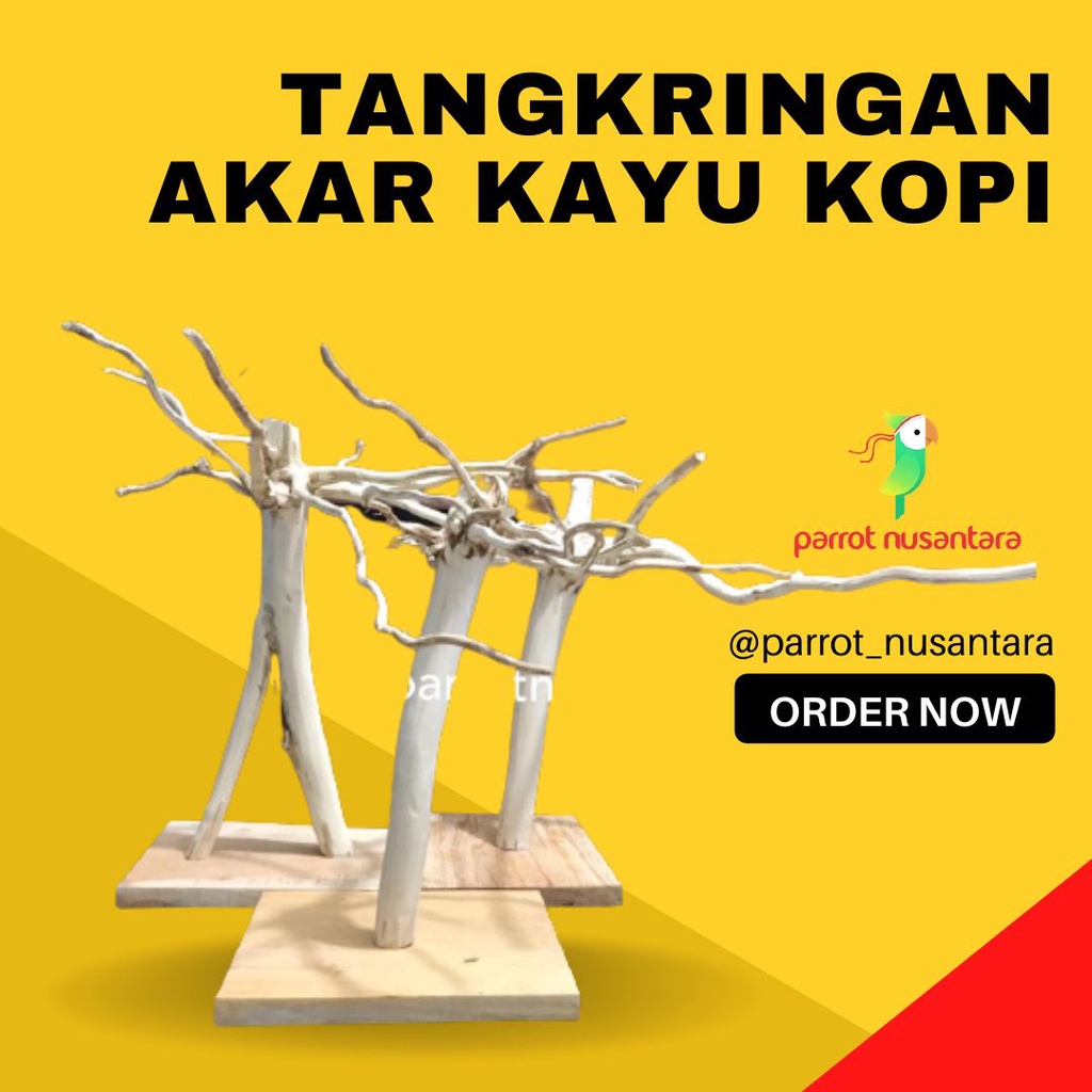 tangkringan burung parrot kayu kopi