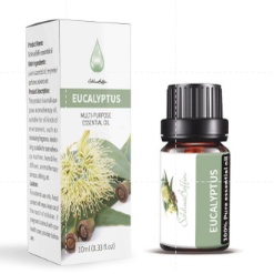 Aromatherapy Essential Oil Diffuser pengharum Ruangan Humidifier Aromatherapi Essential Oil Diffuser Pengharum Pewangi Ruangan-BQ-OIL - EUCALYPTUS