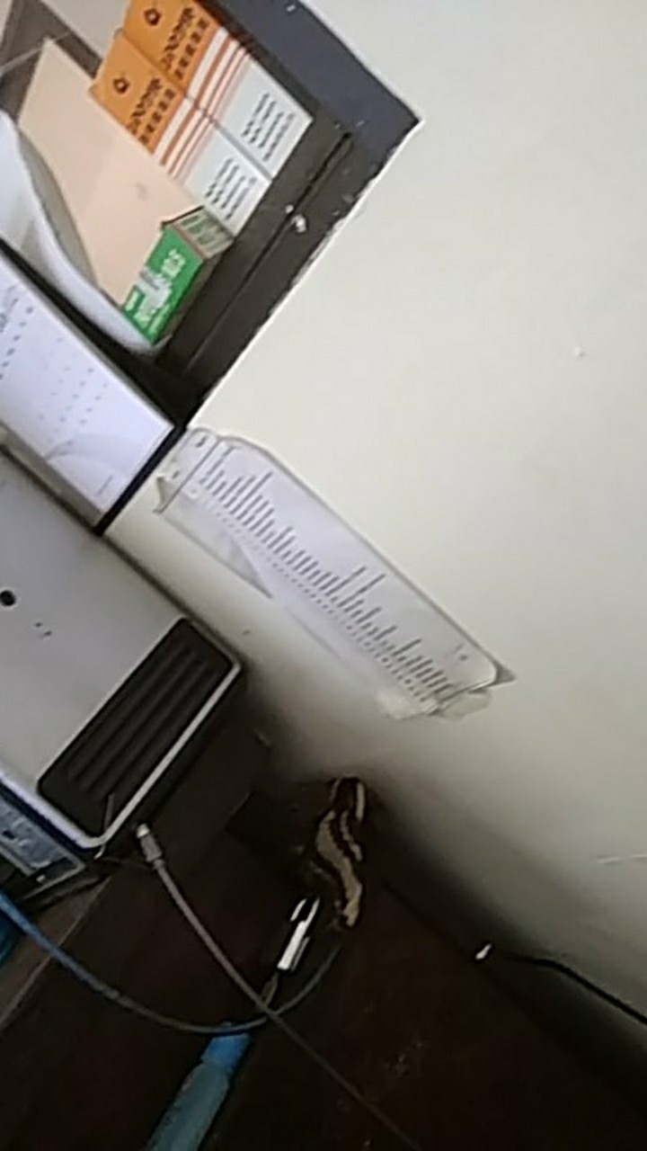 Seruni 100 Ec Obat Fogging Nyamuk Dbd Dan Malaria