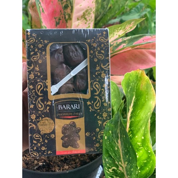 

Kurma BAM Barari Premium