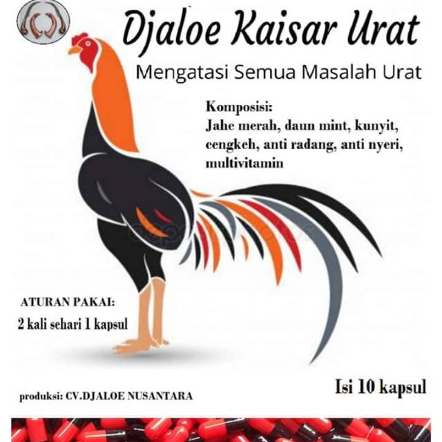 DJALOE KAISAR URAT - mengobati tedun / kaki bengka / pincang