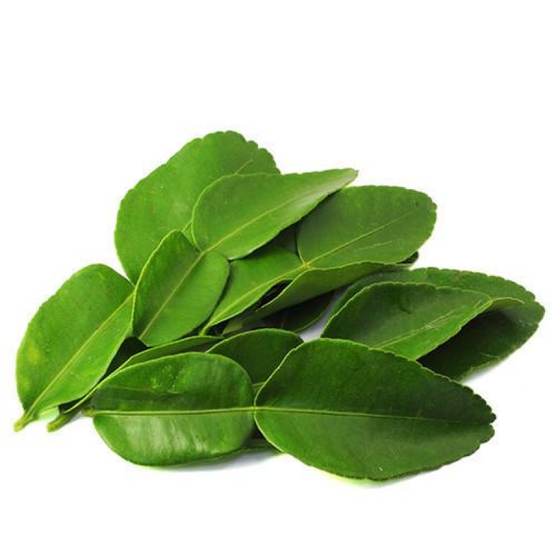 

DAUN JERUK PURUT FRESH