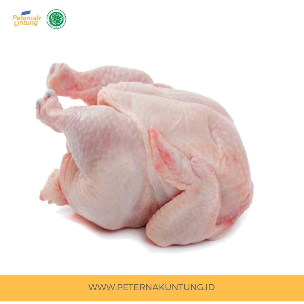 

Ayam Karkas 0.9 - 1.0 kg (ukuran fried chicken)