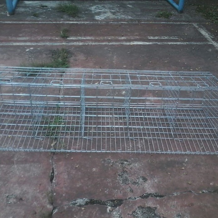 Kandang ayam petelur dari kawat galvnis