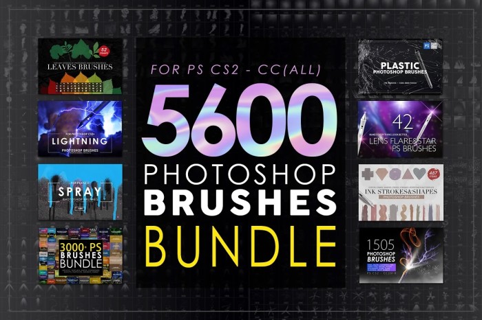 5600 Photoshop Brushes Mega Bundle 19 GB - The Bing Bang Pack