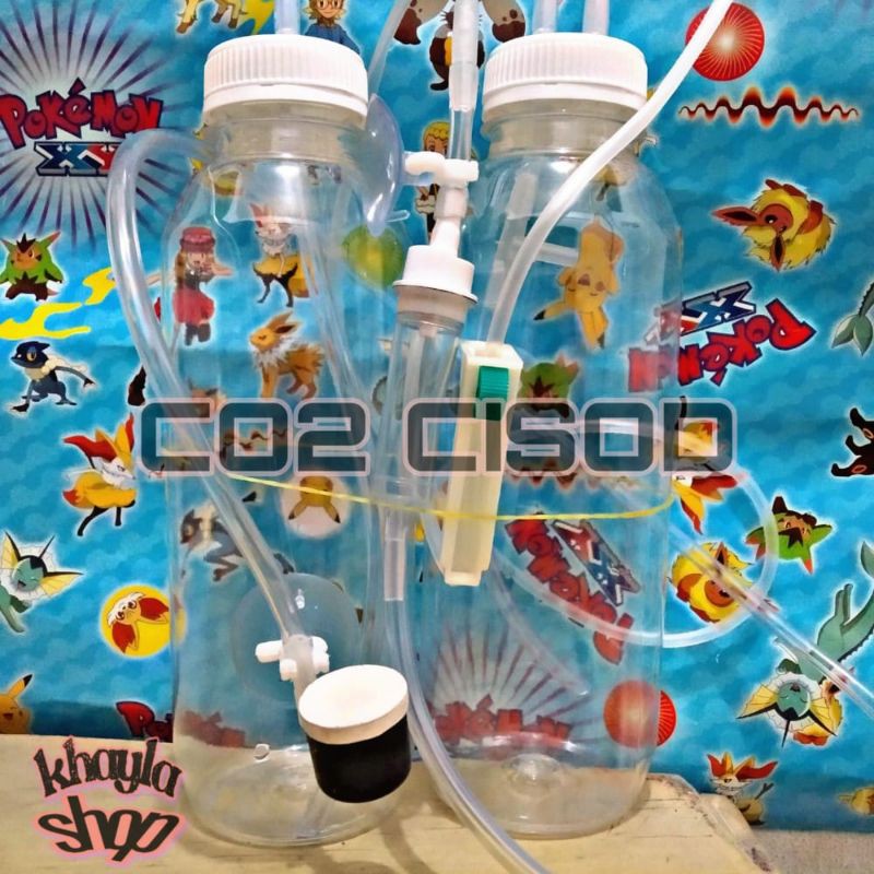 Co2 Cisod Aquascape