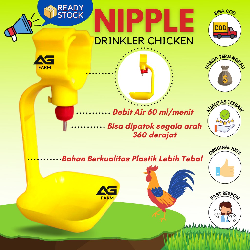 NIPEL AYAM BROILER  NIPEL NIPLE NIPPEL NIPPLE NEPEL NEPLE AYAM BROILER (AYAM PEDAGING) AYAM LEYER (A