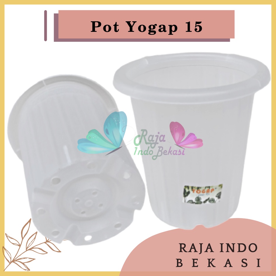 Pot Yogap 15 Transparan Bening Clear Diameter 17cm  Pot Tinggi Tebal Berkualitas Grosir Pot Yogap 10 13 15 17 18 Putih Transparan Bening Coklat Bata Murah